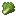 生菜